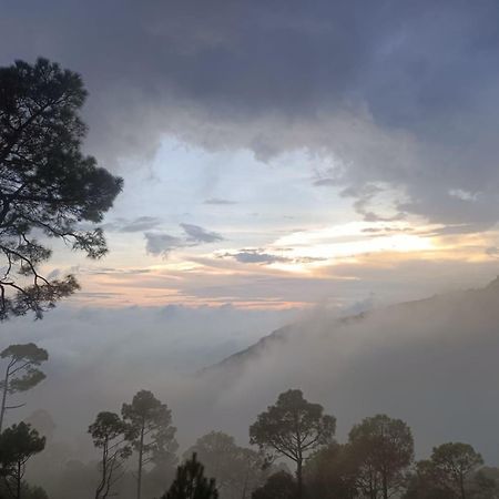 The Western Heights I Serviced Apartments I Pvt Balcony I Lift I Peacefull Area I Family Accomodation I Kasauli I By Exotic Stays Exterior foto